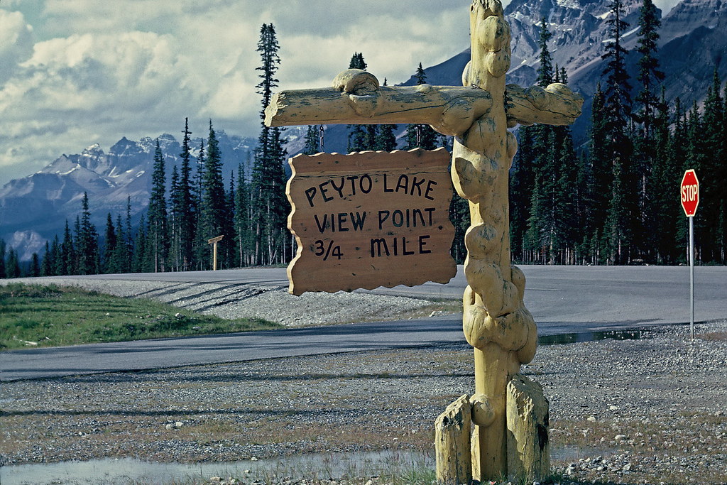Peyto Lake Overlook, Banff National Park, 1962 Photo by