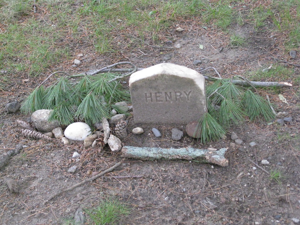 Henry David Thoreau grave Author's Ridge, Sleepy Hollow Ce… Flickr