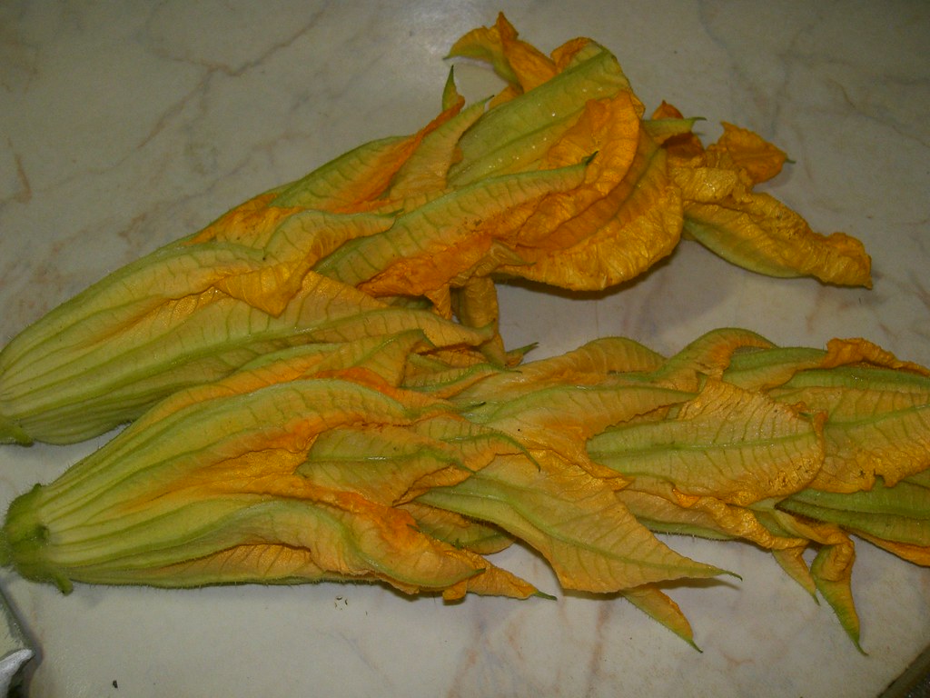 storing zucchini pumpkin vine flowers organicallycooked.bl… Flickr