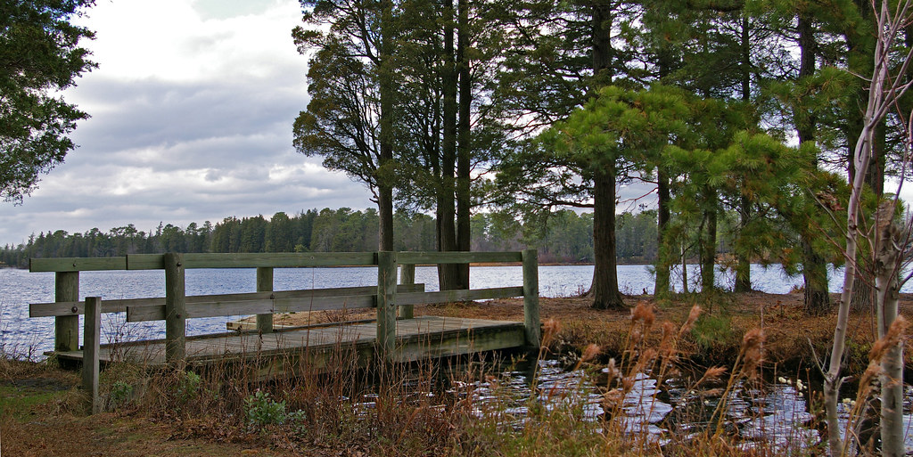 Bridge A small footbridge at Lake Horicon in Lakehurst New… Flickr