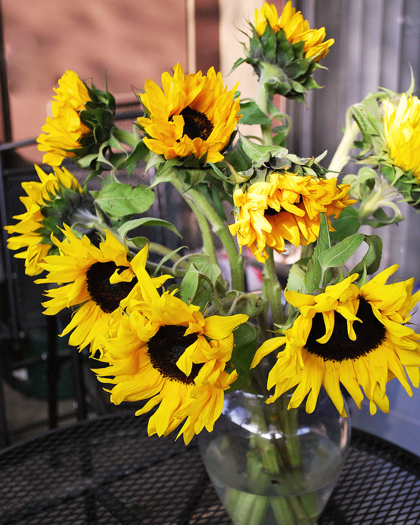 Sunflowers A bouquet of sunflowers Nikon D60 1855mm f/3.5… Flickr