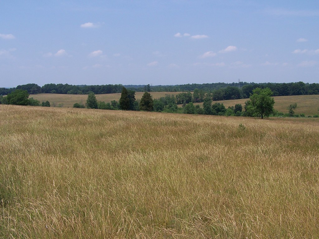 Elevation of Brookford, NC, USA Topographic Map Altitude Map