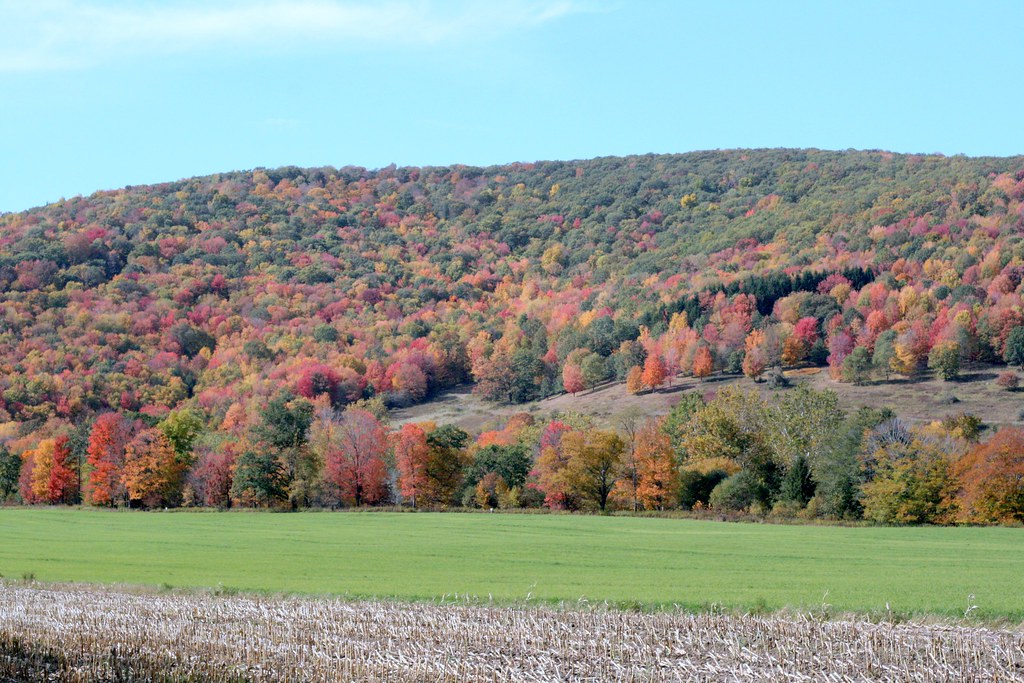 rt219 Field outside Little Valley New York John Shipley Flickr