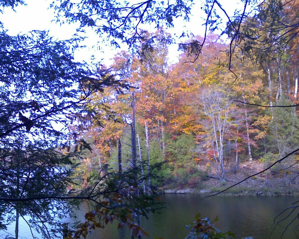 Sandy Run Park...waiting to see my niece row 4s and 8s Flickr