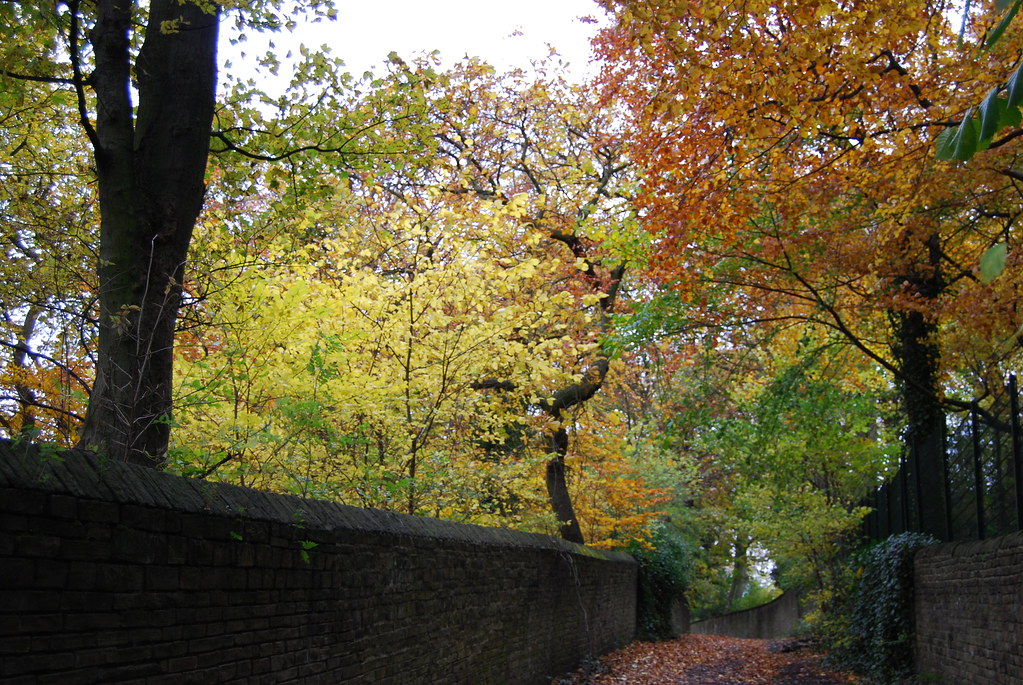 Autumn down Coach Road An Autumn Sunday morning walk along… Flickr