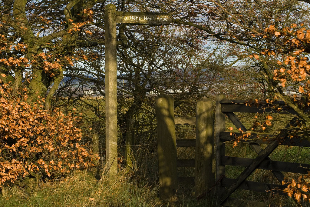 hens nest road Alan Hastings Flickr