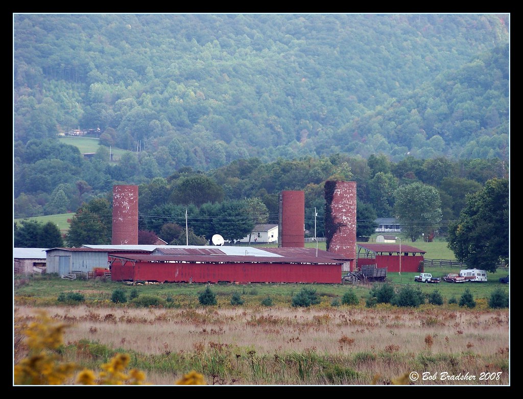 Shady Valley, TN Flickr