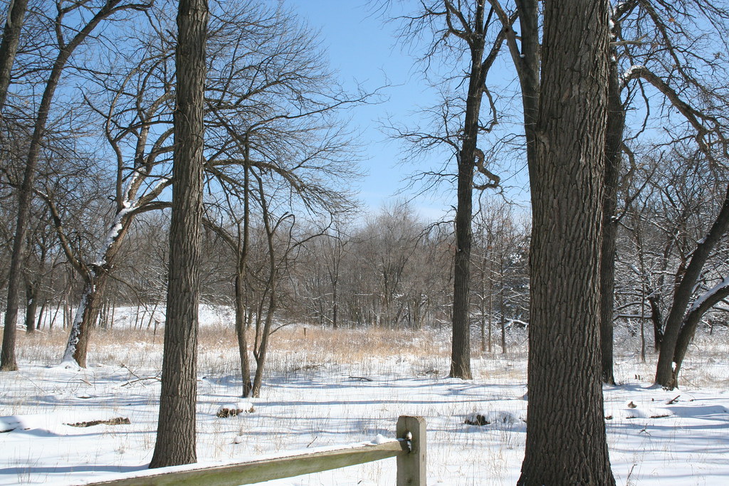 North Park Nature Center March 23, 2008 Daniel X. O'Neil Flickr