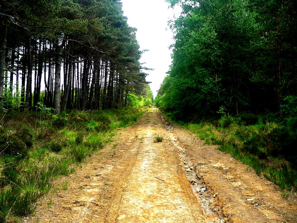 Long Road Chris Robertshaw Flickr