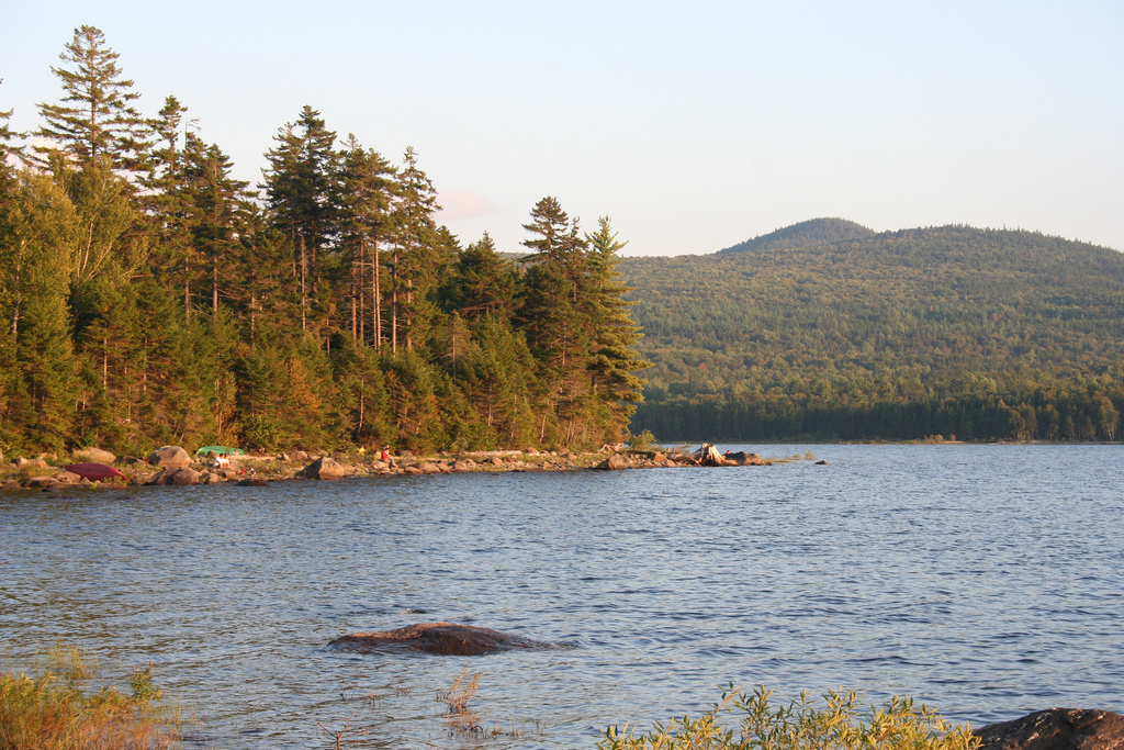 Aziscohos Lake, ME things are better with a parrott Sarah Parrott