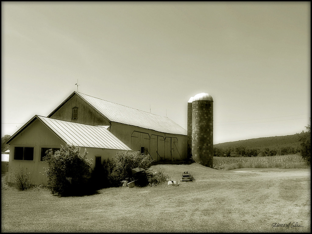 kile farm Farm in Lickdale, PA USA becktheanglophile Flickr