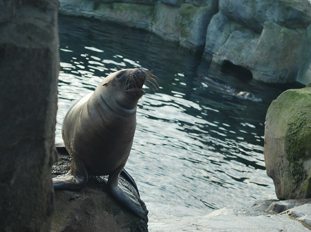 N015 "Zoo am Meer" Bremerhaven myndson Flickr