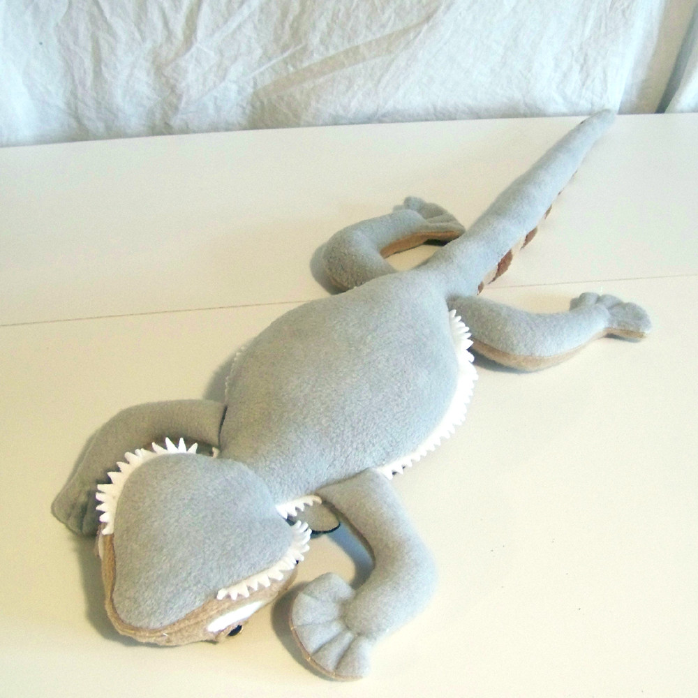 Bearded dragon Belly shot Brigette Zacharczenko Flickr