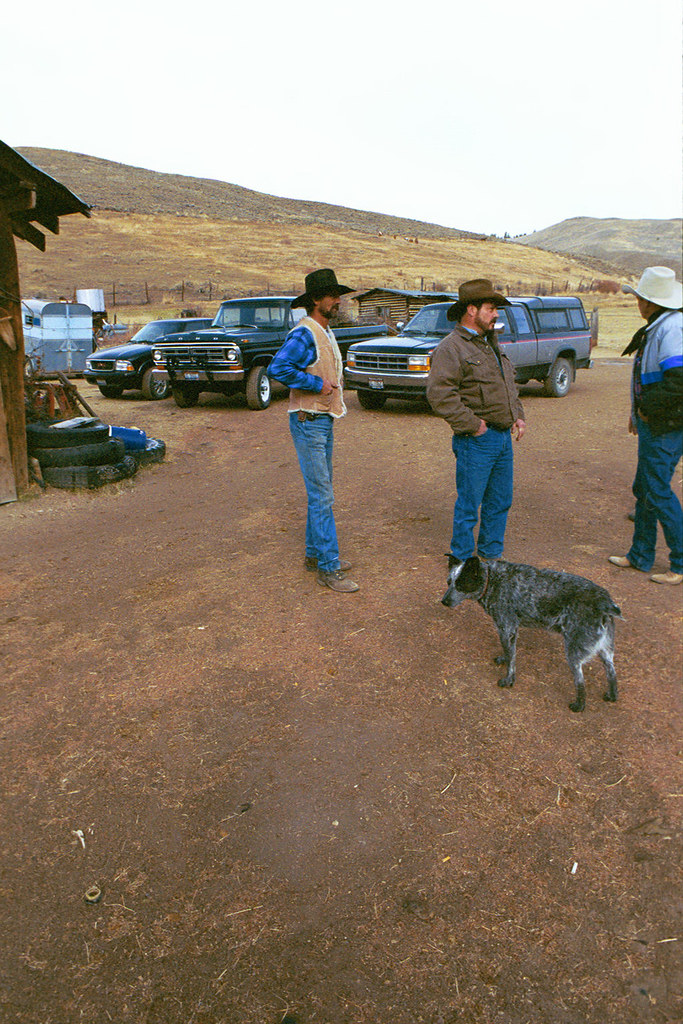 Challis, IdahoJones Ranch Idaho Farm Bureau Flickr