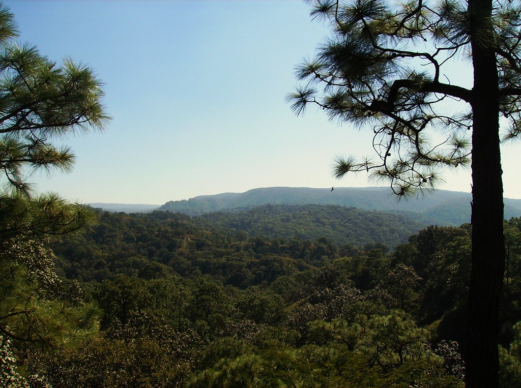 Bosque de la Primavera, Guadalajara, Jalisco alejandropal… Flickr