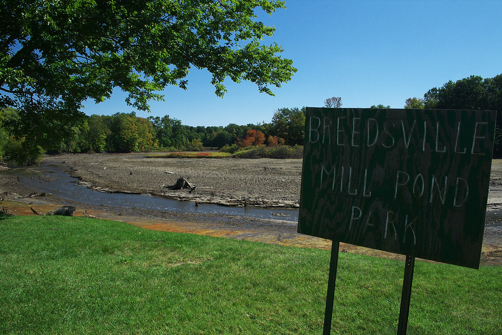 Breedsville Mill Pond Park The dam burst September 18th, 2… Flickr
