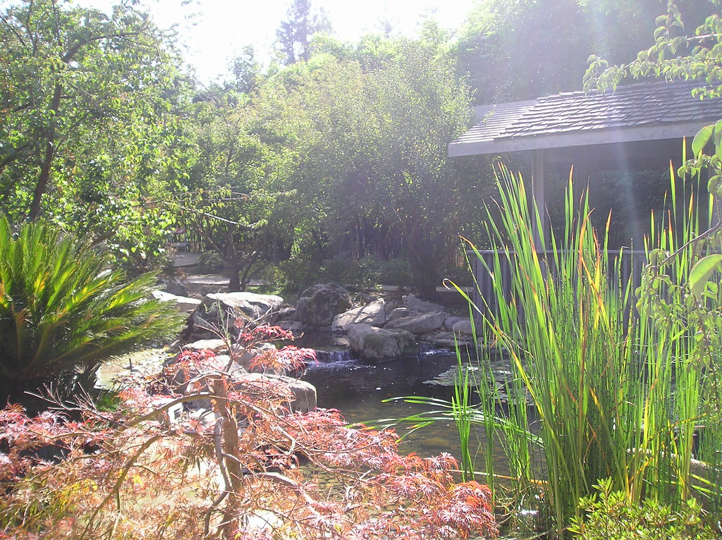 Japanese garden, Woodward Park, Fresno James Fujita Flickr
