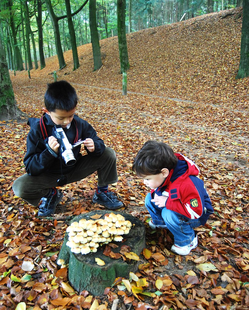 HoogKeppel, Forest 2 Young Explorers october 18th, 200… Flickr