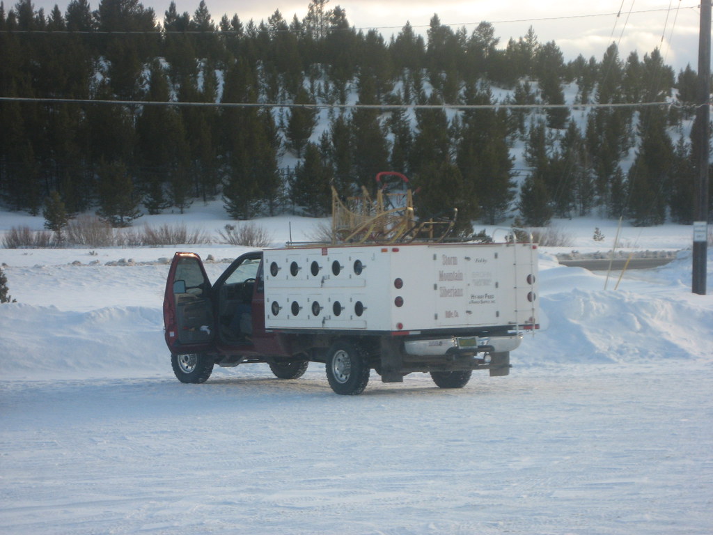 Dog sled team hauler There was a mushing race in leadville… Flickr