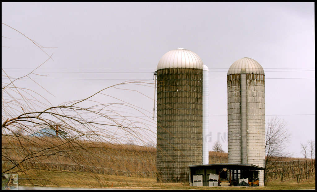 Silos in the field We were driving thru rural Virginia on … Flickr