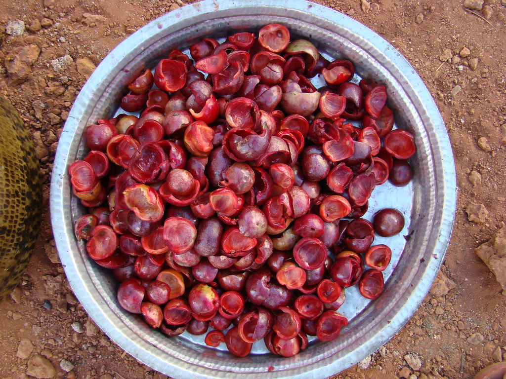 kokam these are 'kokam' fruits and an amazing beverage is … Flickr