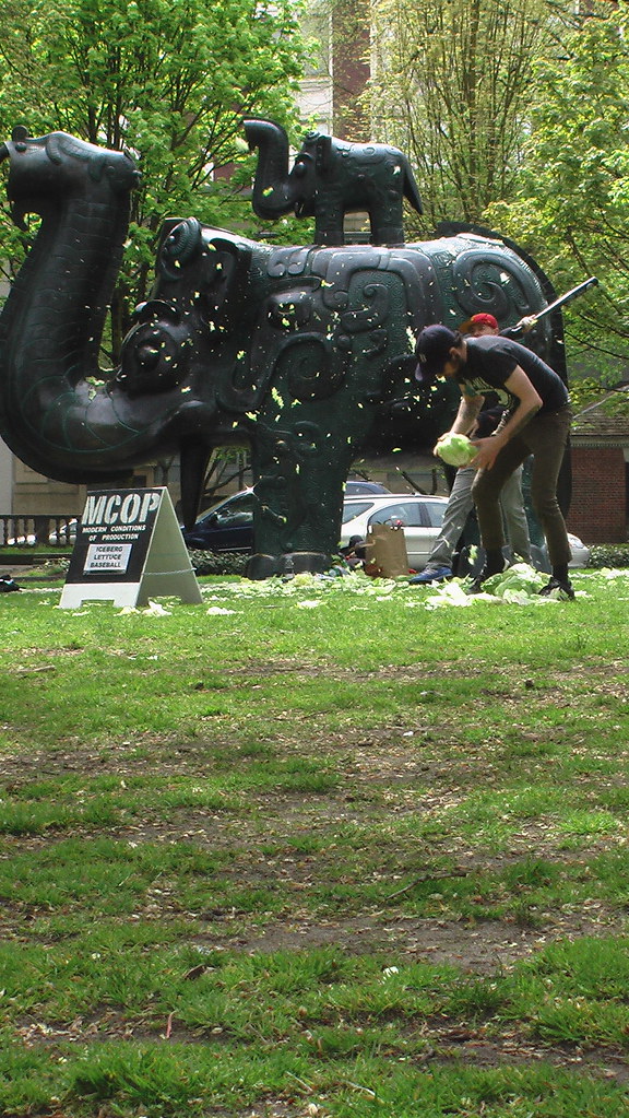 Cabbage Ball Cabbage baseball played in the park blocks of… Flickr