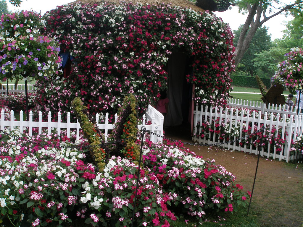 Butterfly House Dallas Arboretum DFW Area MeetUp, May 10… Flickr