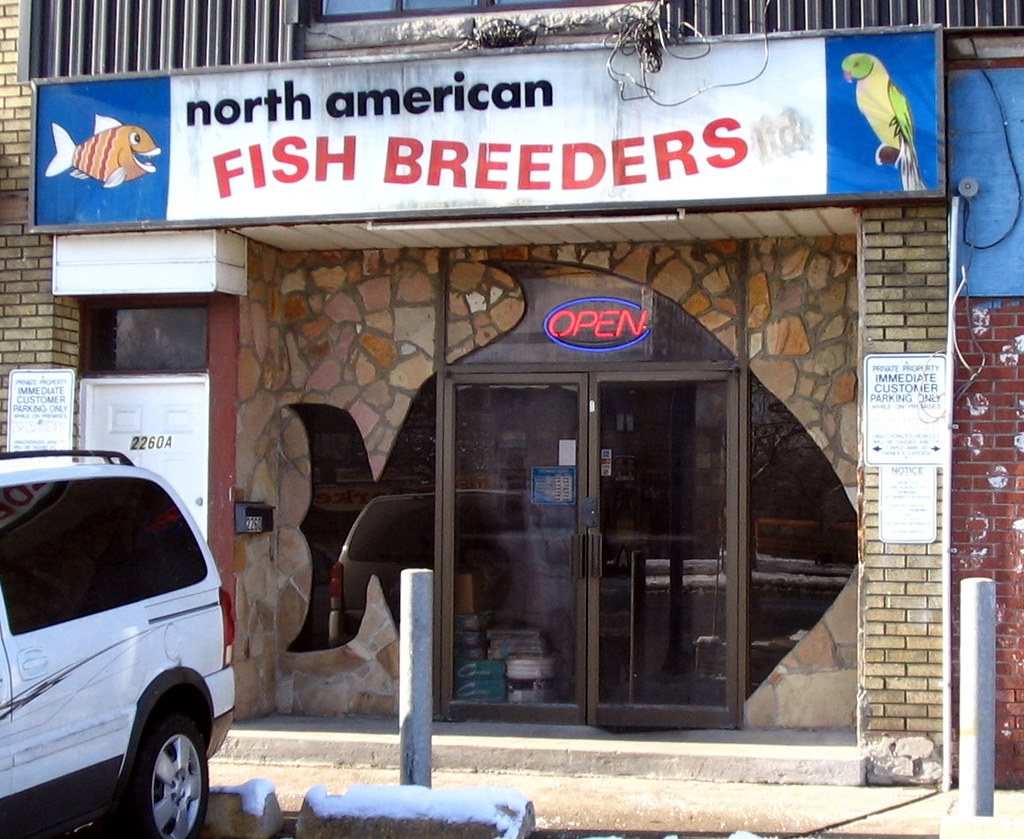 Fish store A fish store's front window in the shape of a g… Flickr