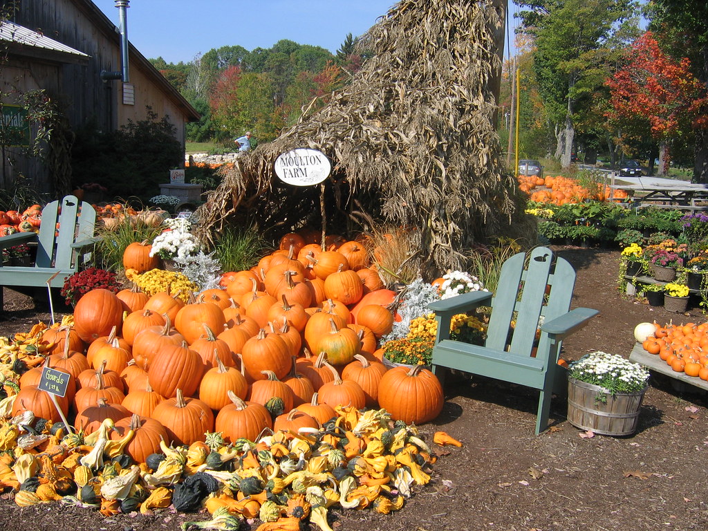 Farmstand in Meredith, NH Signs of Fall Linda Flickr