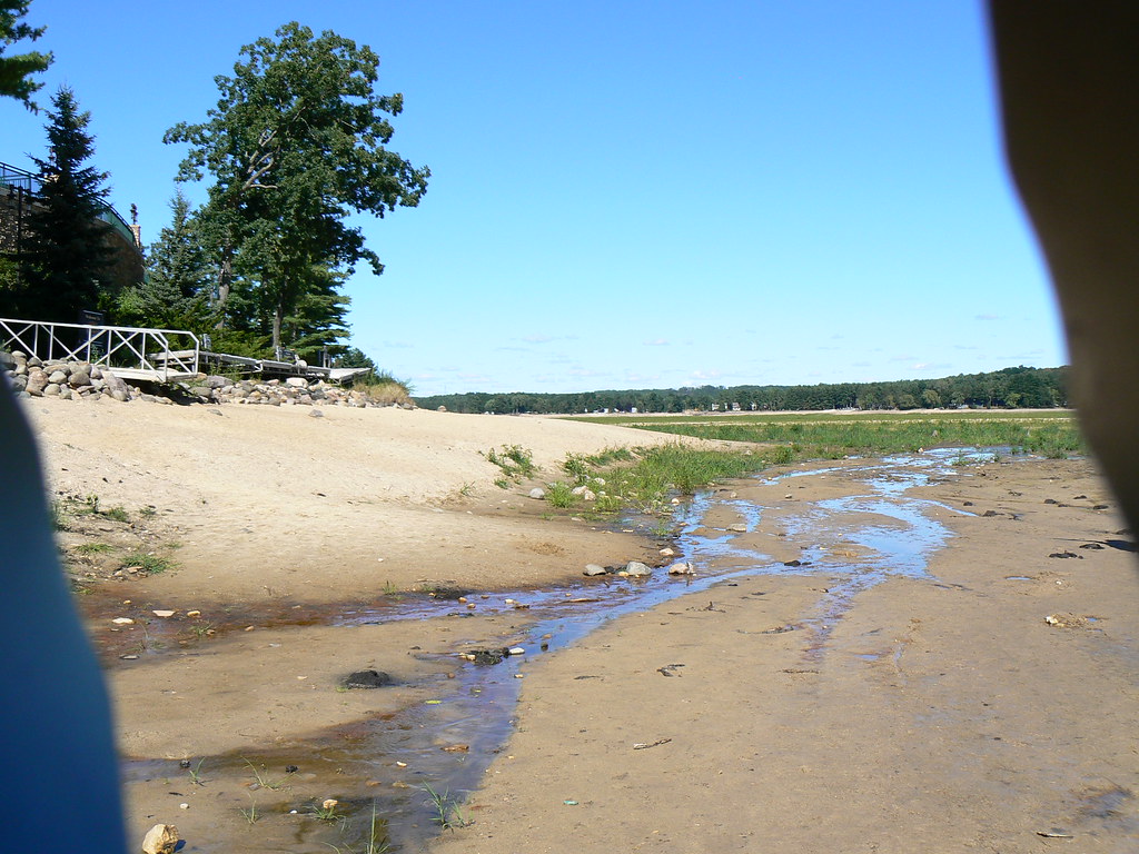 Lake Delton You can rent a pontoon boat this summer for on… Flickr