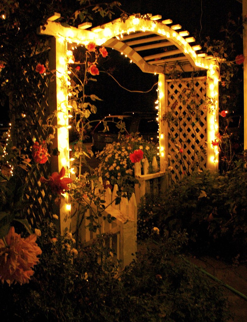 Glowing Night Garden Gate with a tangle of roses Mill Rose… Flickr