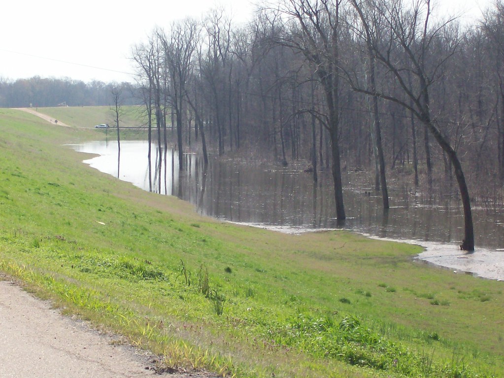 Tunica Cutoff Flood This was taken from top of levy just p… Flickr