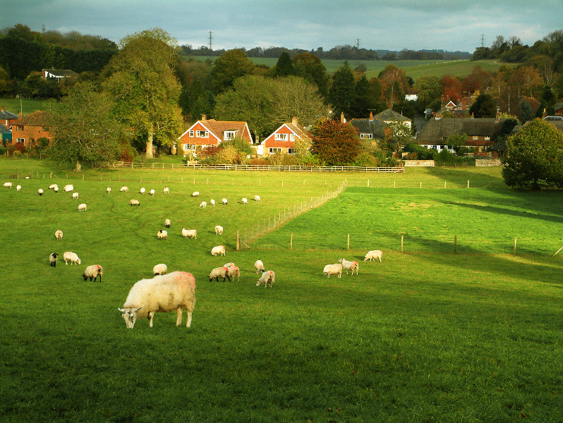 The Bourne Valley Flickr