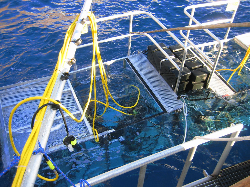 Shark Diving Cage A great white shark cage floats off the … Flickr
