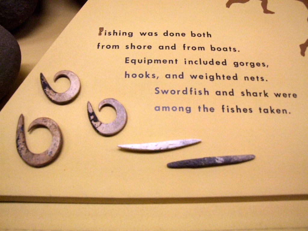 Fish Hooks These look to be ivory and bone hooks. The curl… Flickr