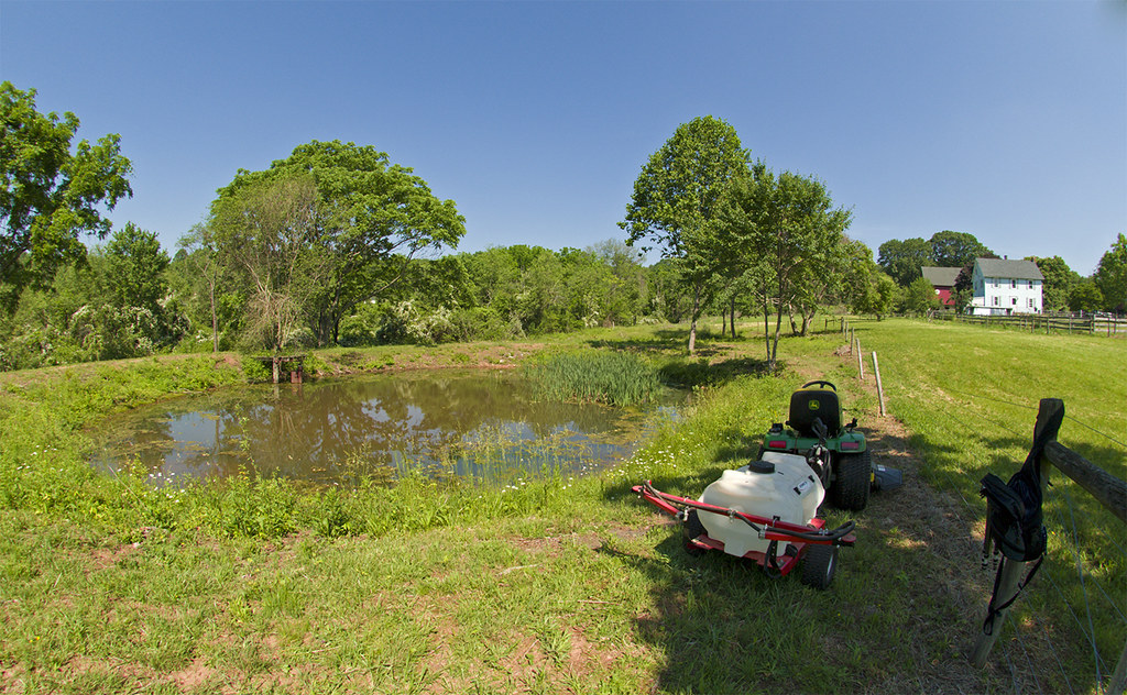 Disturbed habitat That's a name for land that, through cul… Flickr