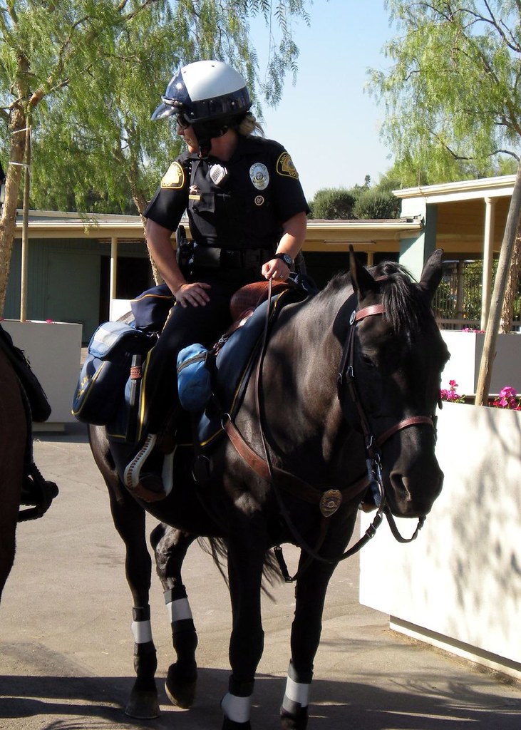 Arcadia Police Mounted Enforcement Team, AMET AMET Officer… Flickr