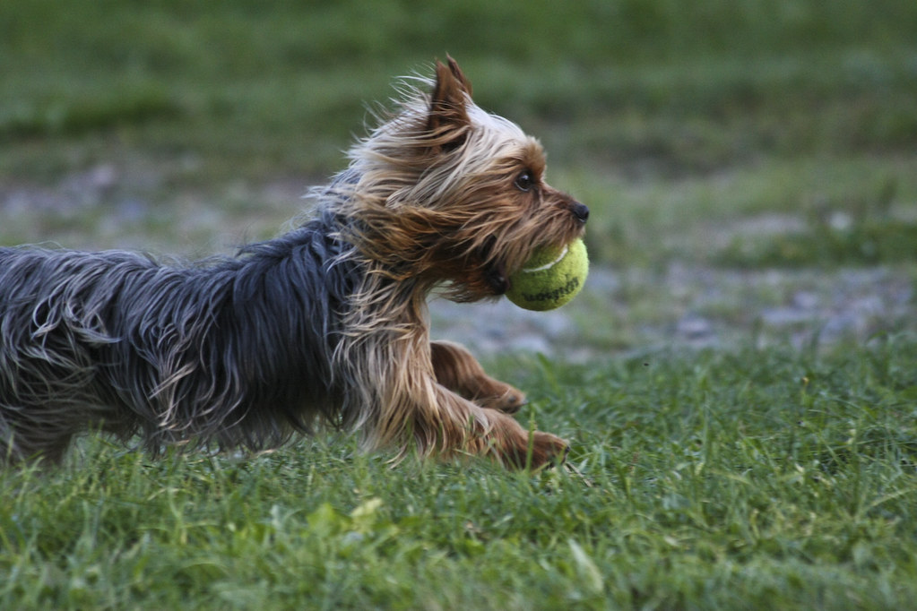 Cherryfield Maine JamieP Flickr