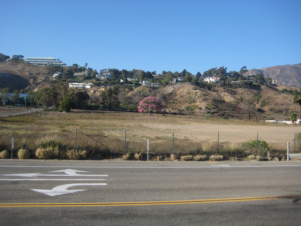 pink tree For sale it'll be yet another mall. Veronique Flickr