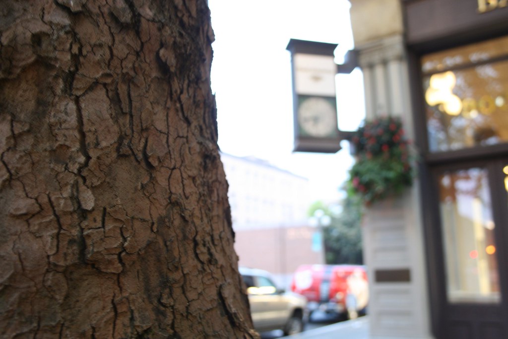 643PM Cyril Belikoff Flickr