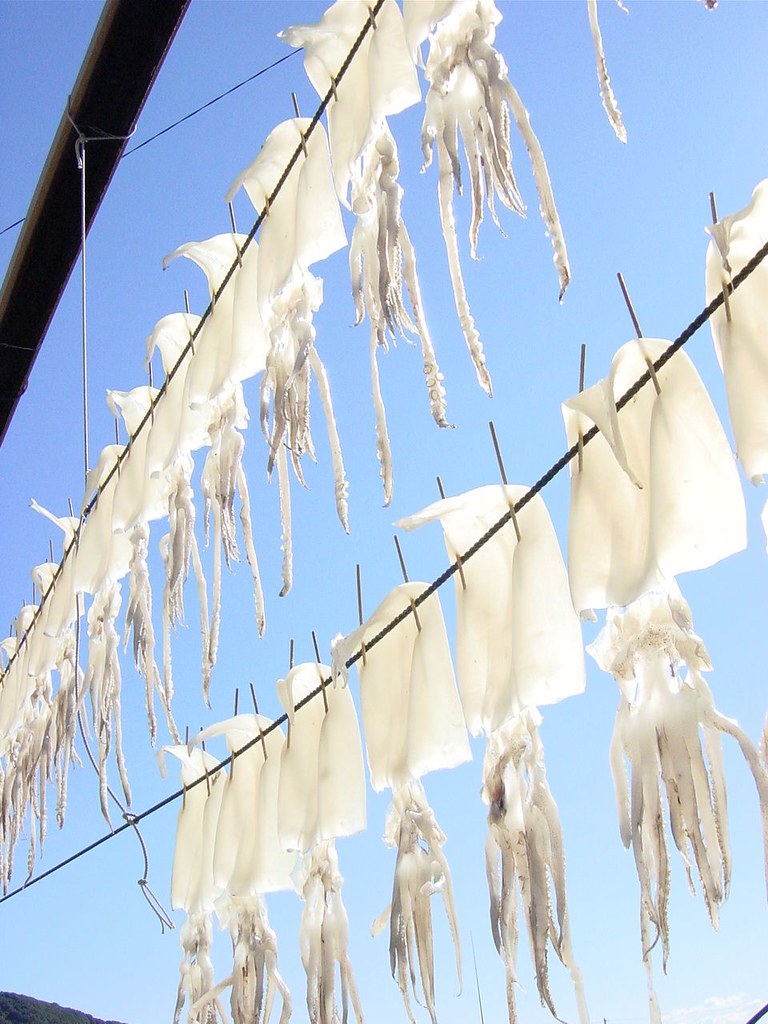 Making surume(Dried Squid) in Otsuki, Kochi Japan sushiboy555 Flickr