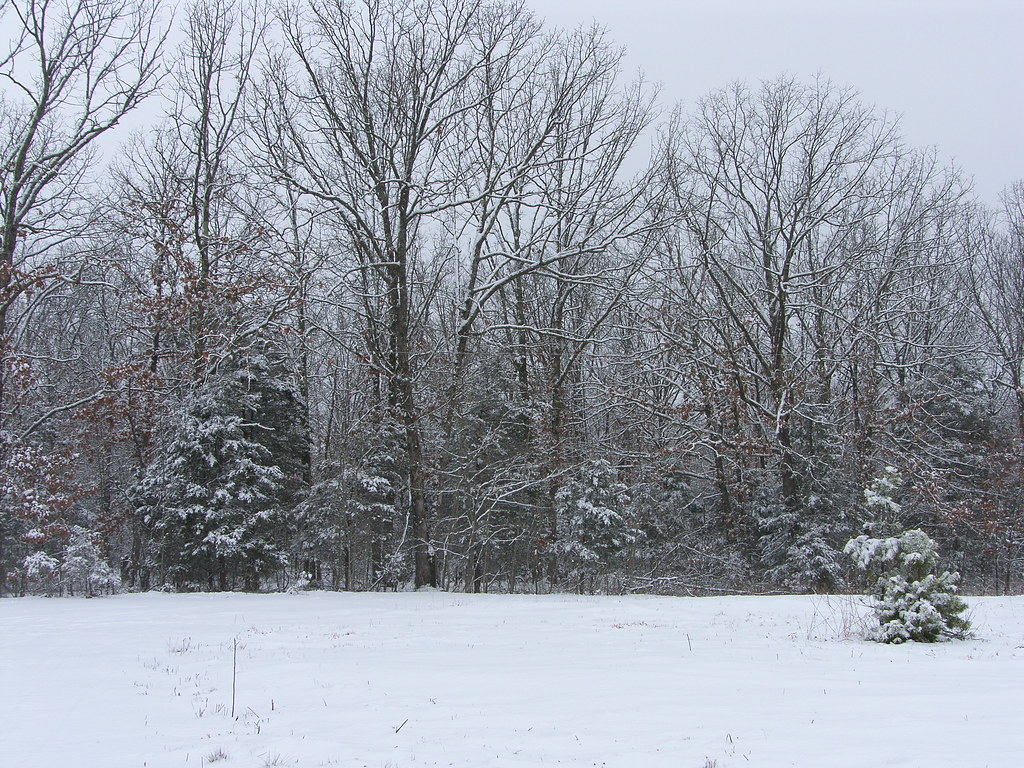 See Missouri does get snow Okay so it isn't a respectible … Flickr