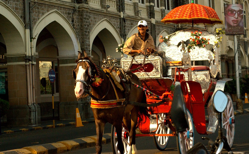 The Tonga Ride Baishampayan Ghose Flickr