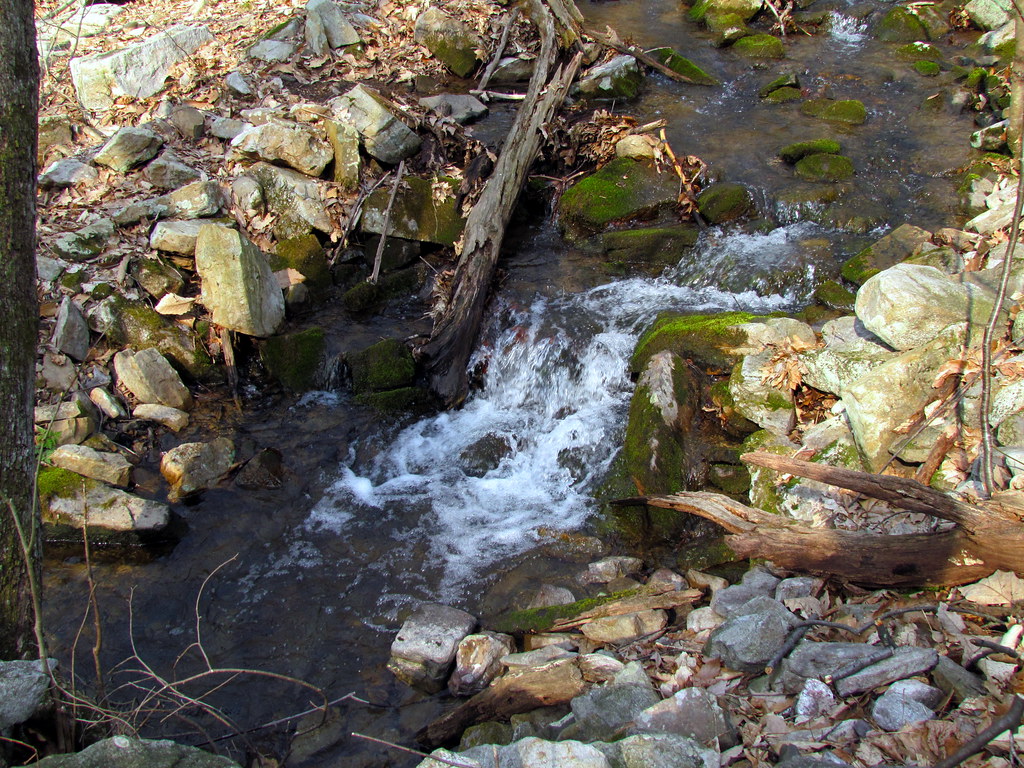 Creek Boyd Big Tree State Park Harrisburg PA 2330 bobistraveling Flickr