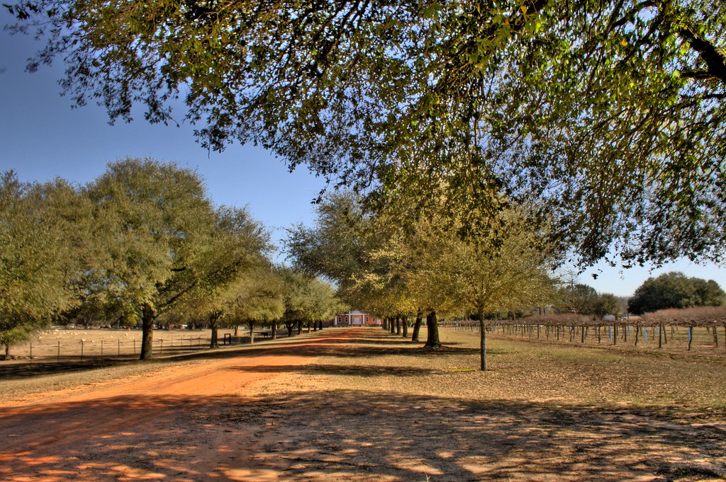Edgefield Plantation Frank DiBona Flickr