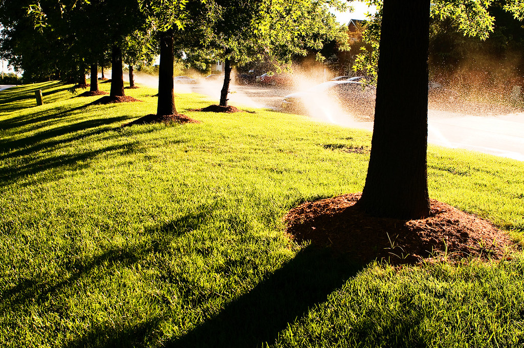 Sprinklers in the Morning I submitted this to the 08/08/08… Flickr