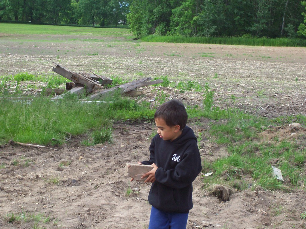 Throwing Bricks Randumbcck Flickr