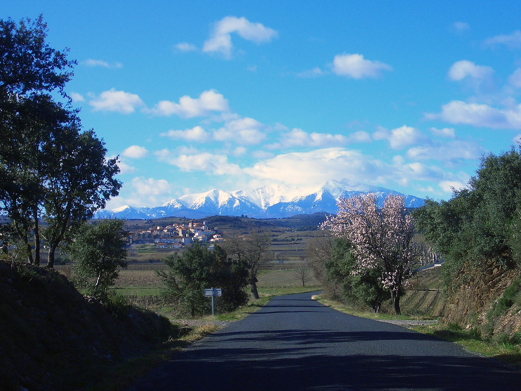 Road to Perpignan Mount Canigou looks good in the distance… Ron