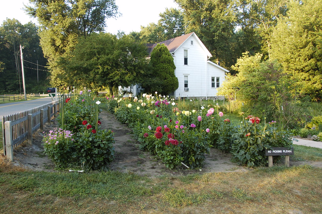 flowers at bonnyville mills markbajekphoto1 Flickr