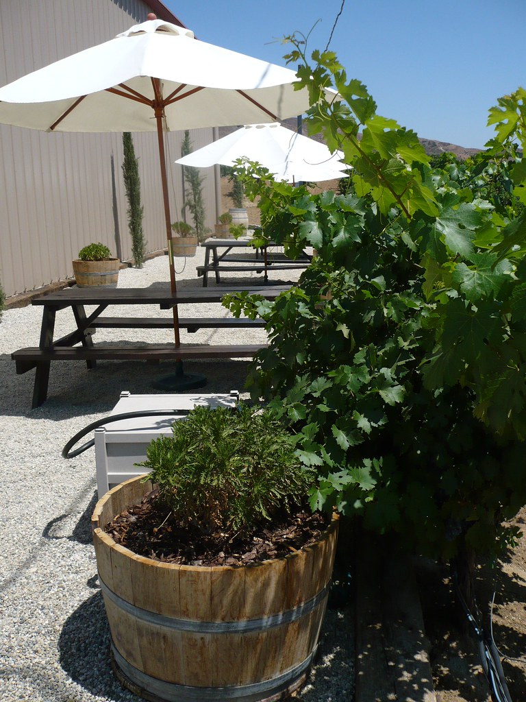 Robert Renzoni Picnic Area Steve Amaon Flickr